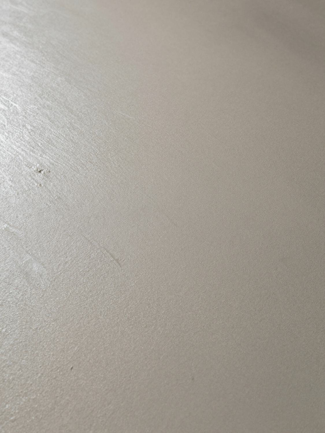 Venetian & polished plaster